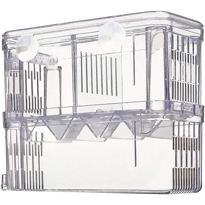 Large clear double-layer fish breeder box with suction cups