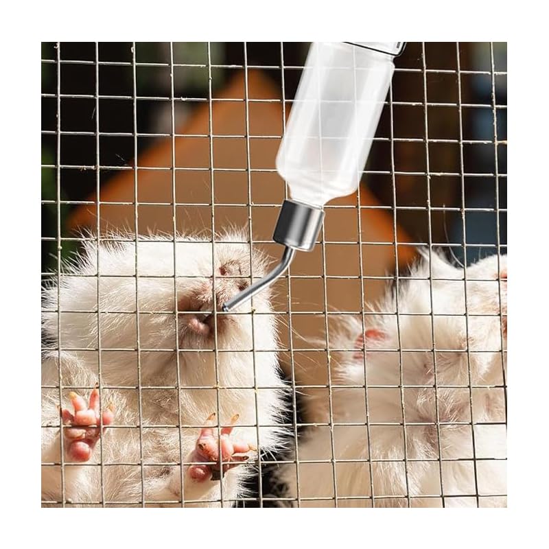 Hamster drinking from cage-mounted bottle