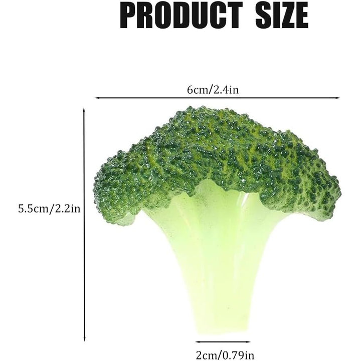Artificial broccoli floret approximate dimensions