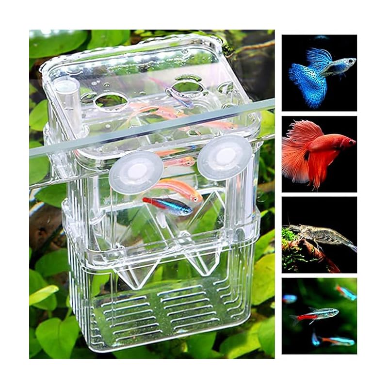 Large Clear Double-Layer Aquarium Breeder Box with Suction Cups - Just Closeouts Canada Inc.X004FN5H3J