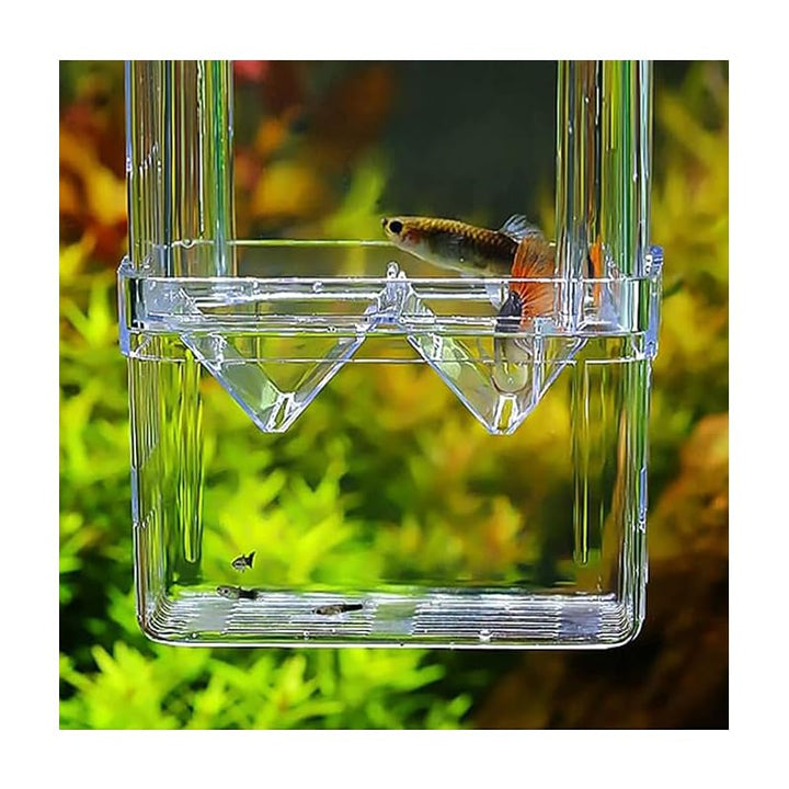Large Clear Double-Layer Aquarium Breeder Box with Suction Cups - Just Closeouts Canada Inc.X004FN5H3J