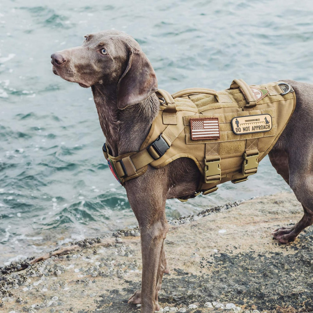 Large Tactical Dog Harness, No Pulling Adjustable Dog Vest Harness, Heavy Duty Dog Harness with Handle, Large Hook and Loop Panels for Patch (Size: Large, Brown) - Just Closeouts Canada Inc.