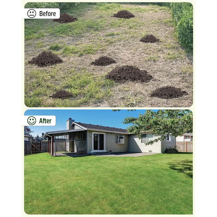 Lawn Leveling Rake,Stainless Steel Lawn Leveler with 45”x10” Ground Plate, 78” Adjustable Long Handle, Heavy Duty Large Level Lawn Tool for Grass, Golf Field, Level Soil or Dirt Ground Surfaces - Green - Just Closeouts Canada Inc.