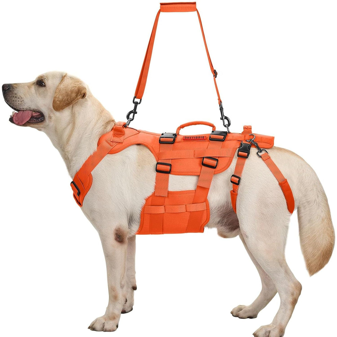 Lift Harness for Large Dogs, Support Sling for Back Legs, Lifter With Handles Invictus Multifunctional Mobility Assistance Vest Hip Support Brace (Orange, M) - Just Closeouts Canada Inc.