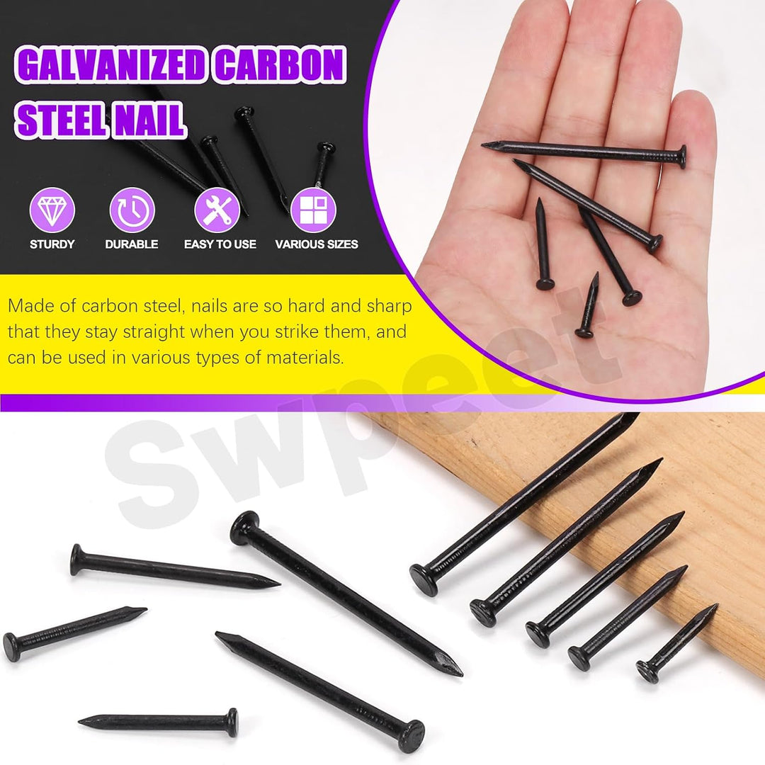300-Piece Black Galvanized Nail Assortment, 5 Sizes