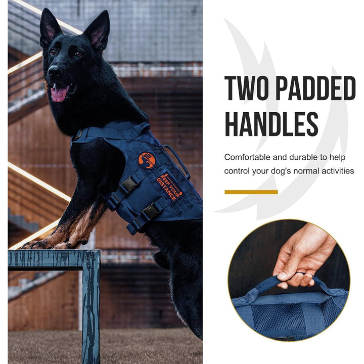 No Pull Tactical Dog Harness for Medium Dog, Mesh Design Breathable Military Dog Molle Vests with Handles, Service Dog Vest Harness for Walking Hiking Training (Navy Blue, XS) - Just Closeouts Canada Inc.