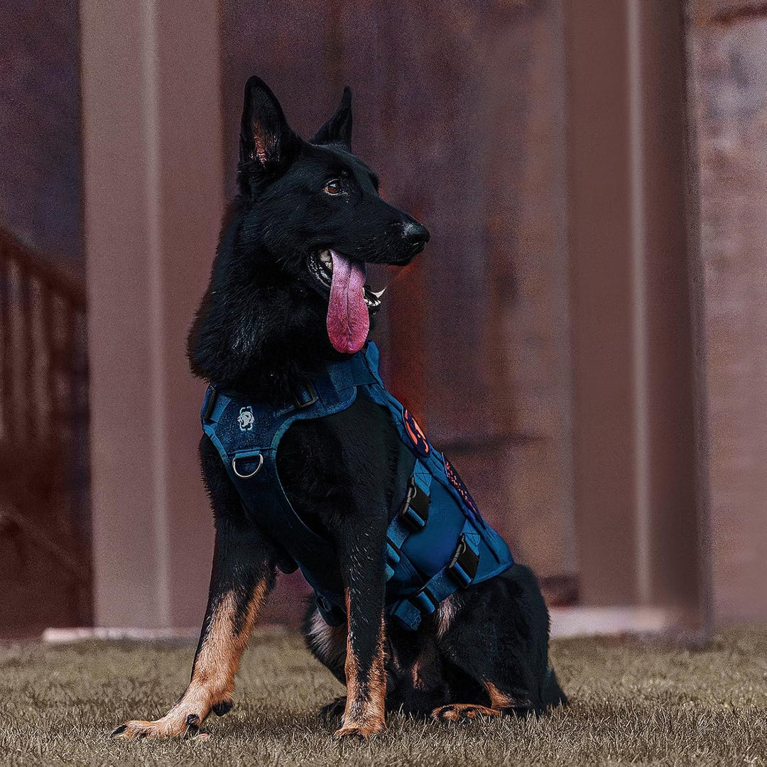 No Pull Tactical Dog Harness for Medium Dog, Mesh Design Breathable Military Dog Molle Vests with Handles, Service Dog Vest Harness for Walking Hiking Training (Navy Blue, XS) - Just Closeouts Canada Inc.