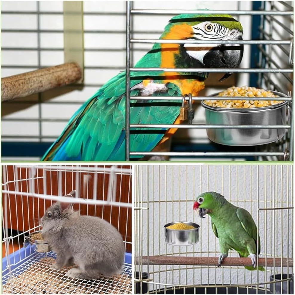 Parrot Feeder, 4pcsPet Feeder, Bird Feeder for Cage, Parrot Feeding Cups Birds Food Dish 2 pcs Perches,10X 4.5 cm, Stainless Steel Parrot Feeders Water,for Parrot Parakeet Lovebird - Just Closeouts Canada Inc.