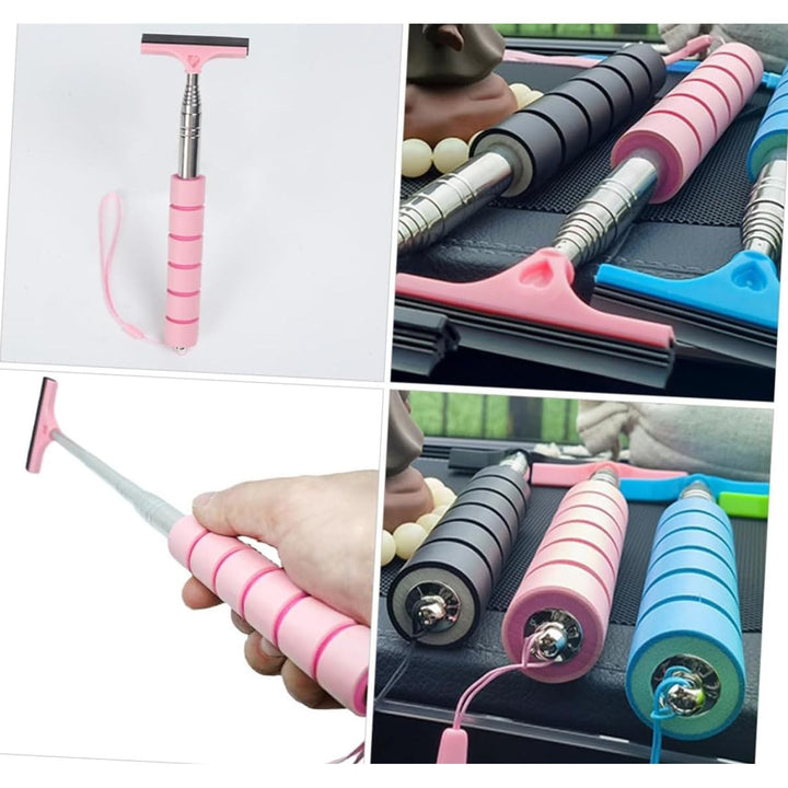 Pink Telescopic Car Mirror Squeegee, 22–98 cm - Just Closeouts Canada Inc.X00463HXO9