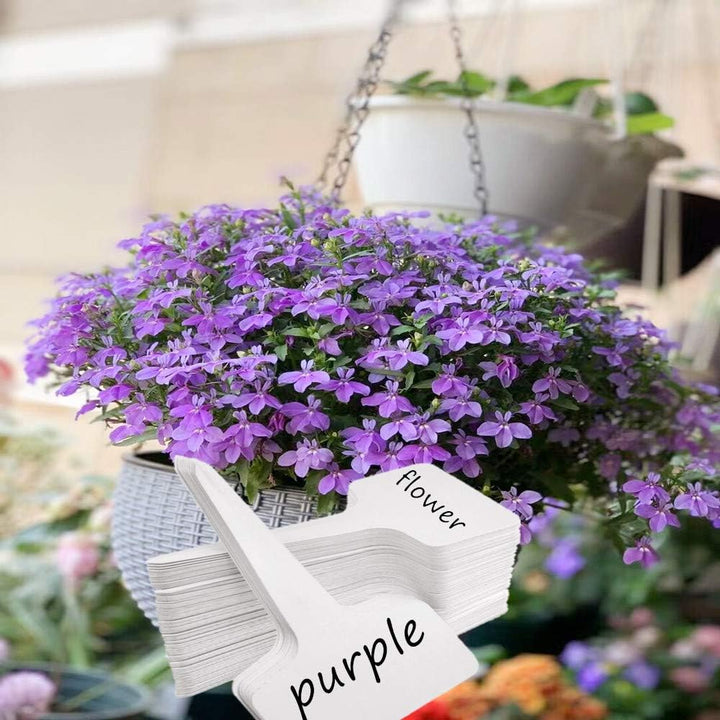 Plant Tags Plastic T - Type Nursery Garden Labels (100PCS) - Just Closeouts Canada Inc.