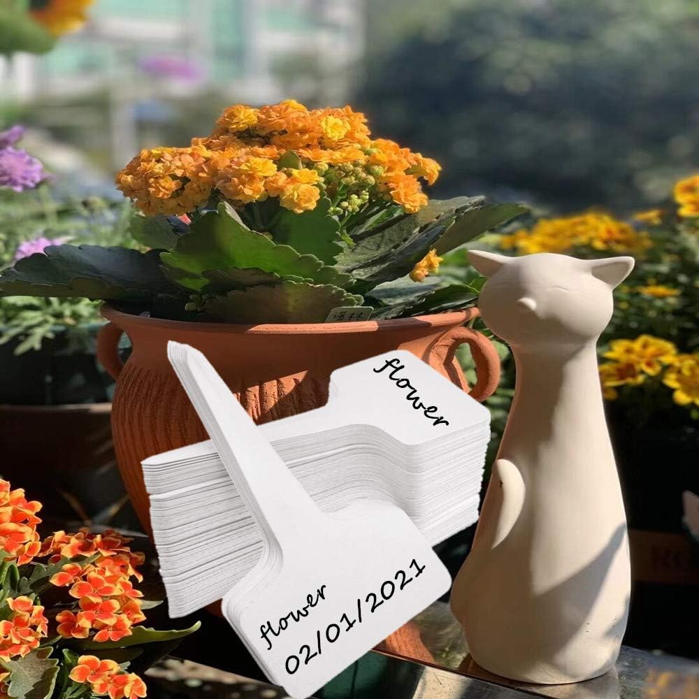 Plant Tags Plastic T - Type Nursery Garden Labels (100PCS) - Just Closeouts Canada Inc.
