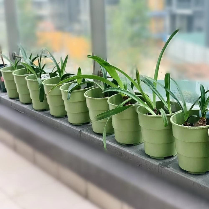 Plant Tags Plastic T - Type Nursery Garden Labels (100PCS) - Just Closeouts Canada Inc.