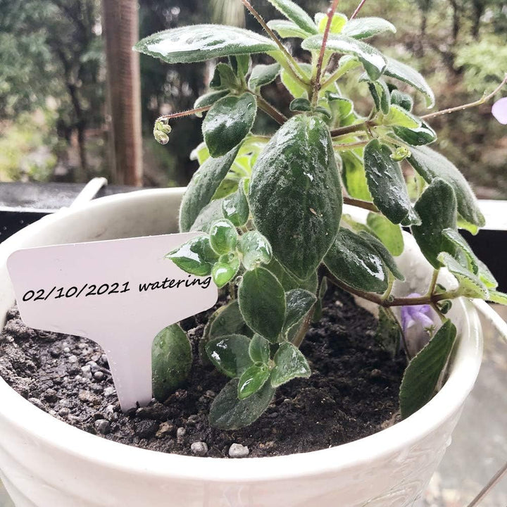 Plant Tags Plastic T - Type Nursery Garden Labels (100PCS) - Just Closeouts Canada Inc.