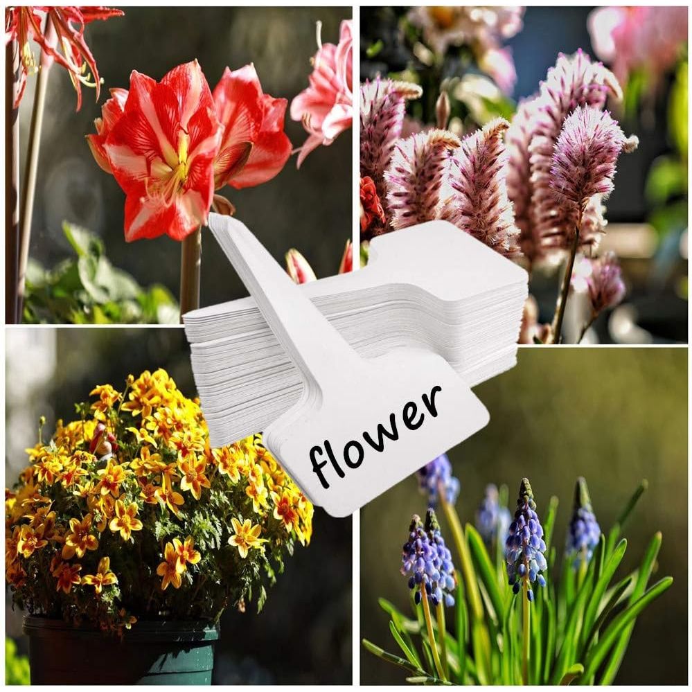 Plant Tags Plastic T - Type Nursery Garden Labels (100PCS) - Just Closeouts Canada Inc.