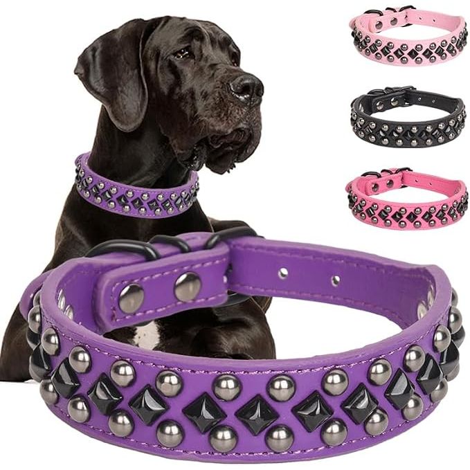Studded PU Leather Dog Collar – Purple, S - Just Closeouts Canada Inc.
