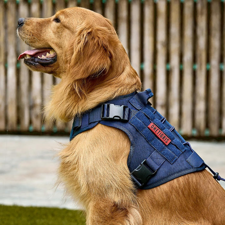 Tactical Dog Harness, Blue, XXS - Just Closeouts Canada Inc.