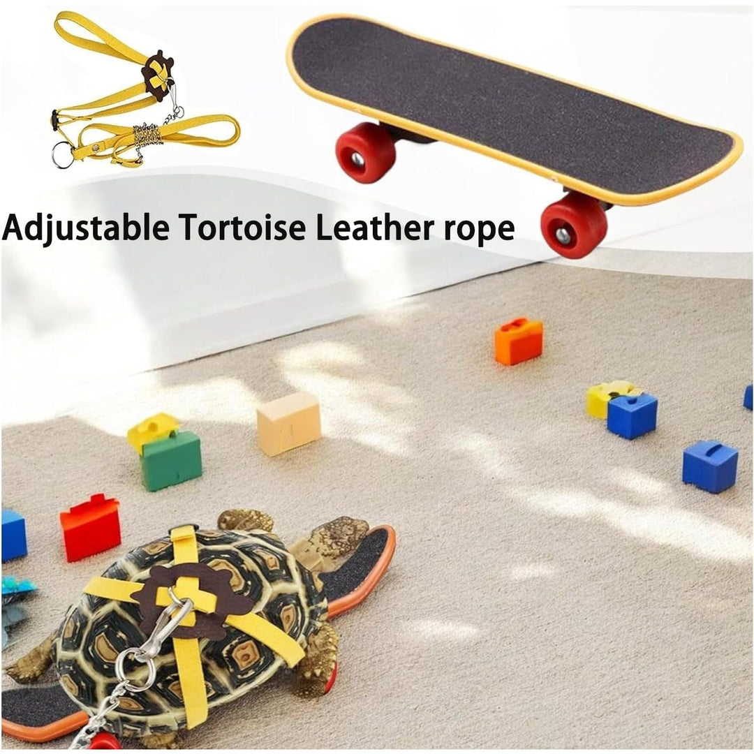 Tortoise Skateboard and Adjustable Harness Leash Set - Just Closeouts Canada Inc.X004M4RXPV