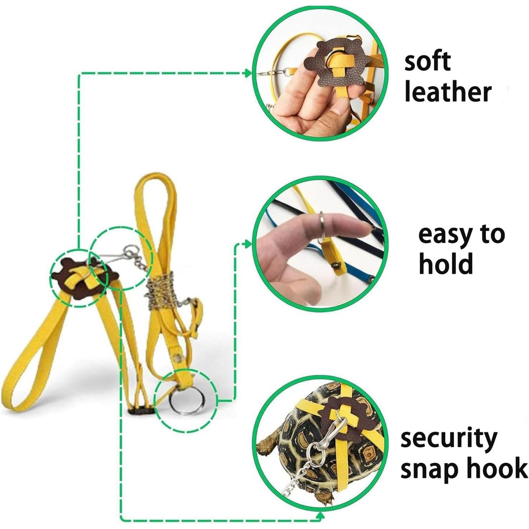 Tortoise skateboard and adjustable yellow harness leash set, view 3