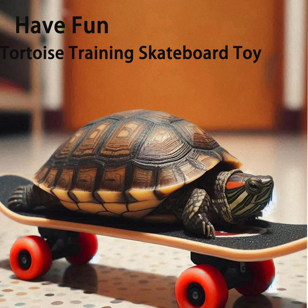 Tortoise skateboard and adjustable yellow harness leash set, view 5
