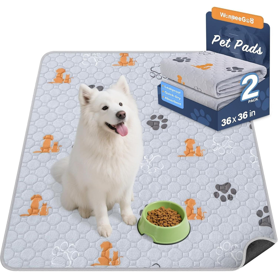Washable Pee Pads for Dogs, 2 Pack Absorbent Reusable Training Dog Pads Pet Puppy Pads, Non - Slip Potty Pads for Whelping, Playpen, Crate, Bed, Orange, 36"x36" - Just Closeouts Canada Inc.X004PR15K9
