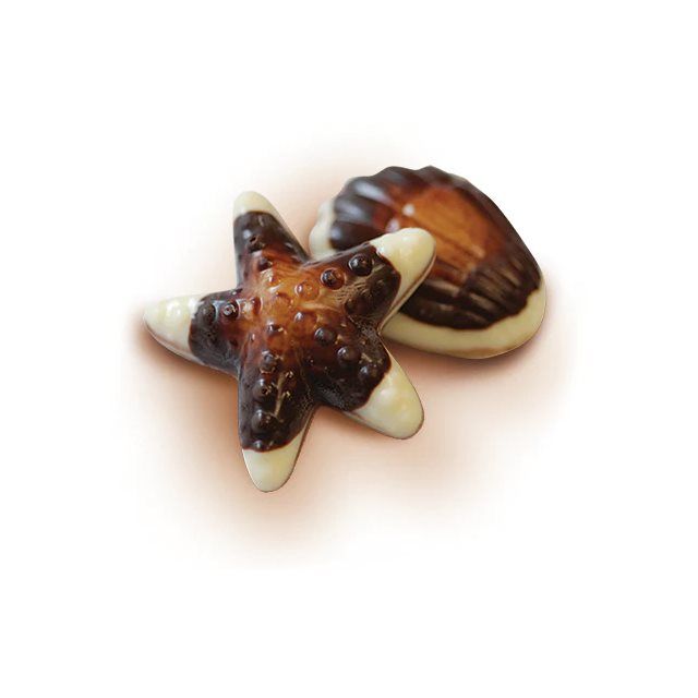 Waterbridge Belgian Chocolate Seashells, 250g - Just Closeouts Canada Inc.